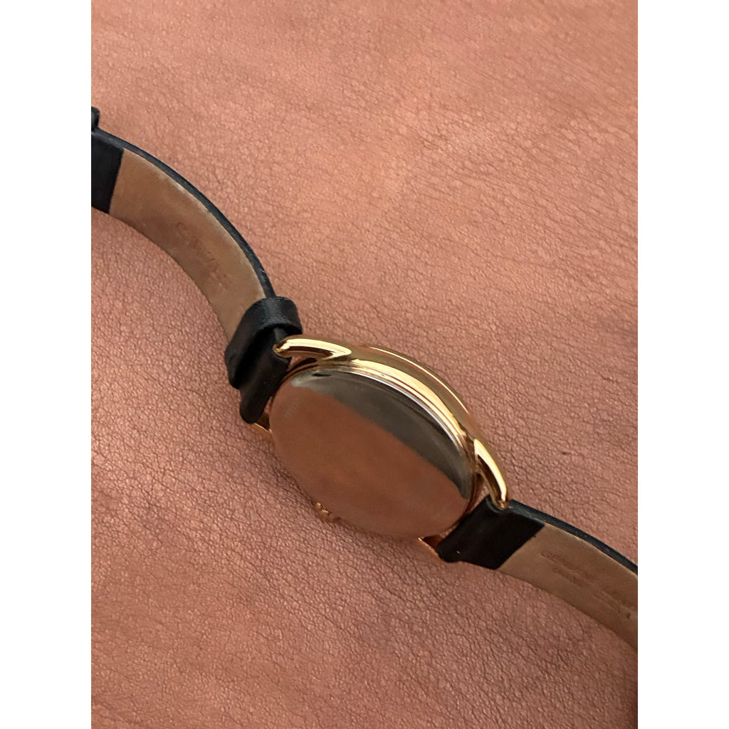 Citizen Eco-Drive J810-S108667 Gold Tone Black Dial Date Leather Watch